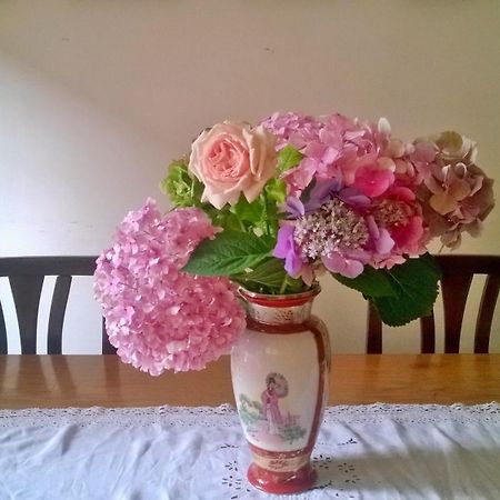 Da Claudia Bed & Breakfast Perugia Luaran gambar